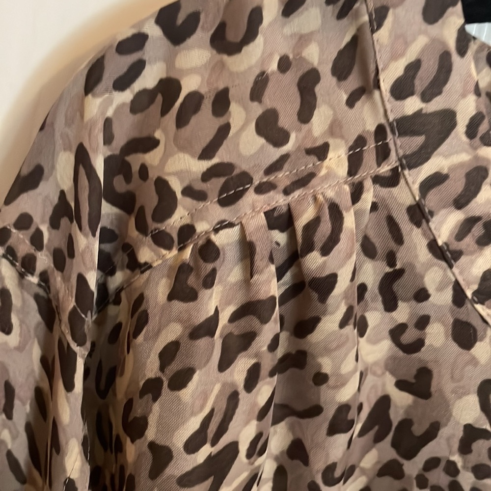 Loft , Size XS - Picture 3 of 6